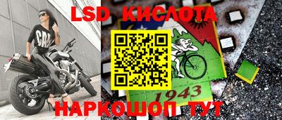 стафф Гатчина