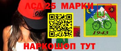 стафф Гатчина