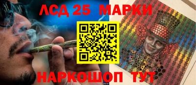 стафф Гатчина