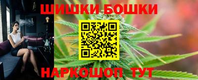 стафф Гатчина