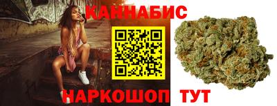 стафф Гатчина