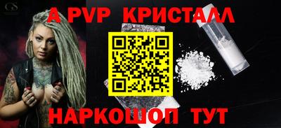 стафф Гатчина