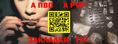 стафф Гатчина