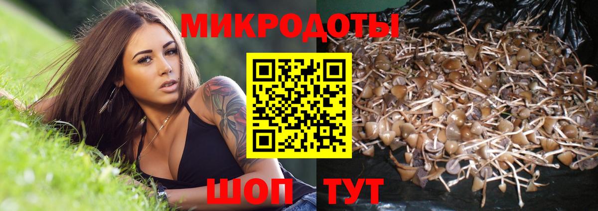 Псилоцибиновые грибы Magic Shrooms Богданович
